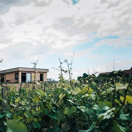 Gospodarstwo wiejskie Tinyhouse Au Coeur D'un Vignoble *