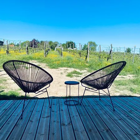 Séjour à la campagne Tinyhouse Au Coeur D'un Vignoble Floreffe