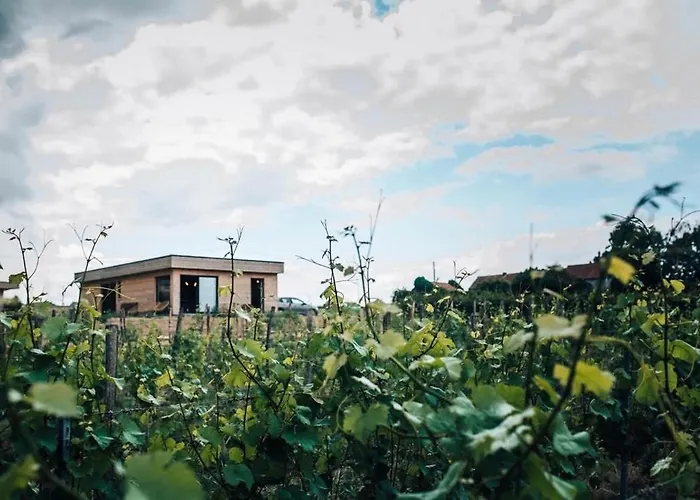 Séjour à la campagne Tinyhouse Au Coeur D'un Vignoble *