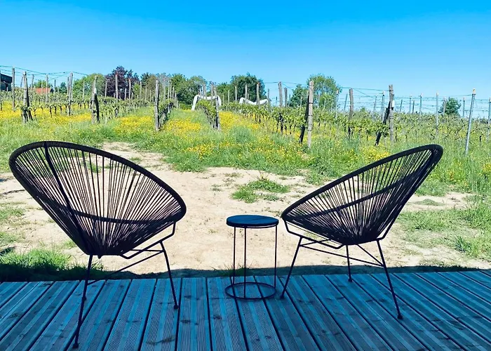 Séjour à la campagne Tinyhouse Au Coeur D'un Vignoble Floreffe